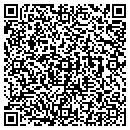 QR code with Pure Joy Inc contacts