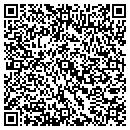 QR code with Promise in LA contacts
