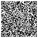 QR code with Premiere Travel contacts