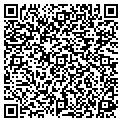 QR code with Ragazza contacts