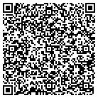 QR code with Pub Of Round Rock Inc contacts