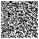 QR code with Public Storage contacts