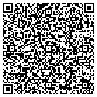 QR code with Cub Discount Liquor contacts