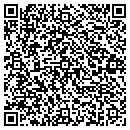 QR code with Chanello's Pizza Inc contacts
