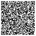 QR code with Fellinis contacts
