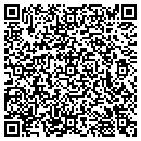 QR code with Pyramid Deli And Grill contacts