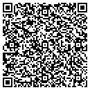 QR code with Cyber Girl Friday LLC contacts