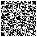 QR code with Pueblo Pottery contacts