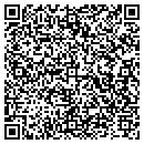 QR code with Premier Pizza LLC contacts