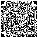 QR code with Ternion Corp contacts