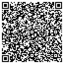 QR code with Professional Touch Too contacts