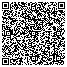 QR code with Blimpie Subs & Salads contacts