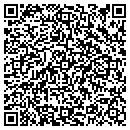 QR code with Pub Planet Soccer contacts
