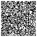 QR code with Publix Self Storage contacts