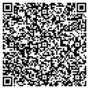 QR code with Punky Doodles contacts