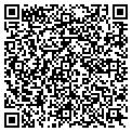 QR code with Doll's contacts
