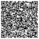 QR code with Pub Lansdowne contacts