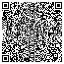 QR code with Professionally Writes contacts