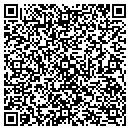 QR code with Professional Typing CO contacts