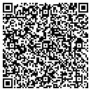 QR code with Christopher Vaughan contacts