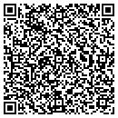 QR code with Blue Ridge Mediation contacts