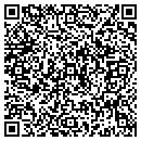 QR code with Pulver's Pub contacts