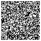 QR code with Carneys Contracting Inc contacts