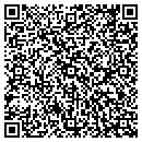 QR code with Professional Typing contacts