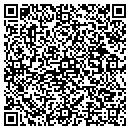 QR code with Professional Typing contacts