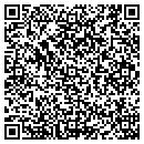 QR code with Proto Type contacts