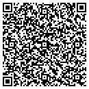 QR code with Credo Technology Corp contacts