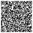 QR code with Dsm Design Group LLC contacts