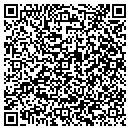 QR code with Blaze Systems Corp contacts