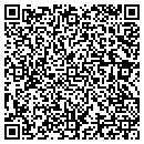 QR code with Cruise Dreams & Tvl contacts