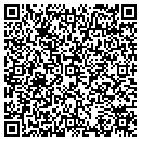 QR code with Pulse Detroit contacts