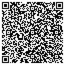 QR code with Puzzlers Pub contacts