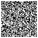 QR code with Cobbs the Auctioneers contacts