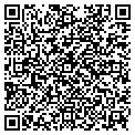 QR code with Invtec contacts