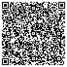 QR code with Chesapeake Design Group Inc contacts