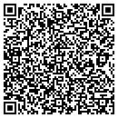 QR code with Pulaski Wine & Spirits contacts