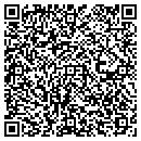 QR code with Cape Henlopen Wicker contacts