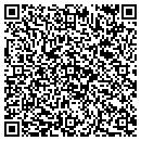 QR code with Carver Gallery contacts