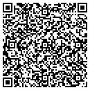 QR code with Pub At the Pinicon contacts