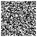 QR code with Pub Out Back contacts