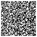 QR code with Cochran Surveyors contacts