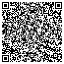 QR code with Priceless Treasures contacts