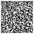 QR code with Chicagoland Survey contacts