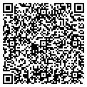 QR code with Amway contacts