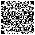 QR code with AVON contacts