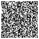 QR code with Carl Tashat Designs contacts